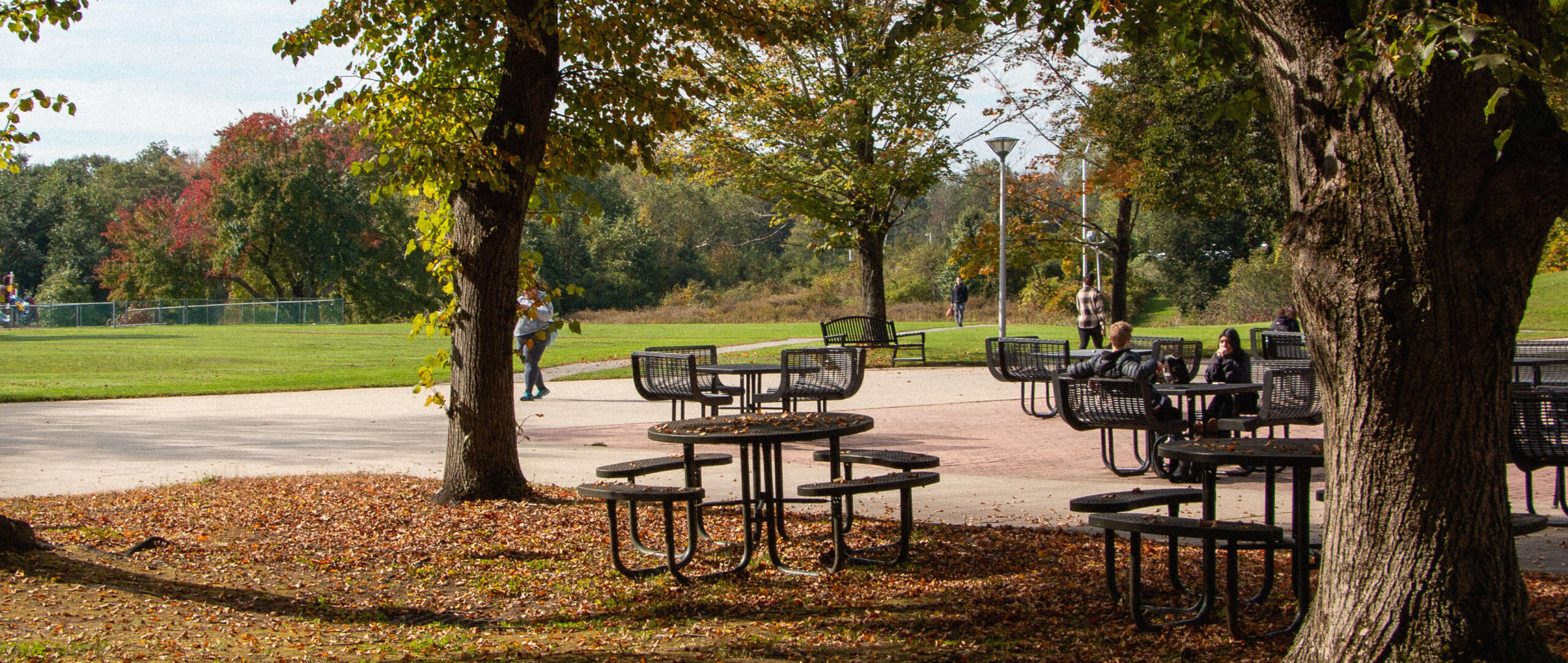 A photo of the Haverhill campus in the Fall with fall foliage and fallen leaves and students sitting outside. The sports field is in the background.